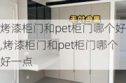 烤漆柜门和pet柜门哪个好,烤漆柜门和pet柜门哪个好一点