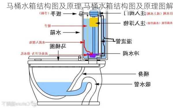 马桶水箱结构图及原理,马桶水箱结构图及原理图解