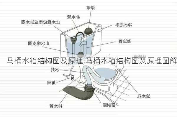 马桶水箱结构图及原理,马桶水箱结构图及原理图解