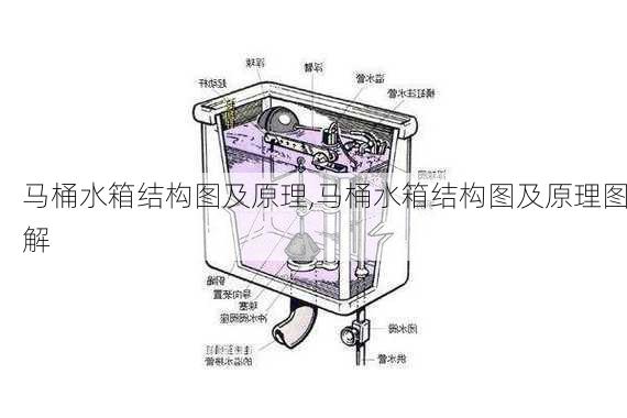 马桶水箱结构图及原理,马桶水箱结构图及原理图解