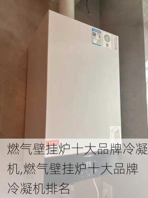 燃气壁挂炉十大品牌冷凝机,燃气壁挂炉十大品牌冷凝机排名