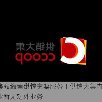 ST大集：海南供销大集
科技有限
的业务和经营定位主要服务于供销大集内部企业
开发，暂无对外业务