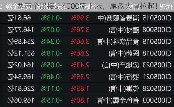 两市个股接近4000家上涨，尾盘大幅拉起！