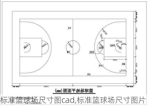 标准篮球场尺寸图cad,标准篮球场尺寸图片