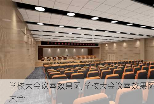 学校大会议室效果图,学校大会议室效果图大全