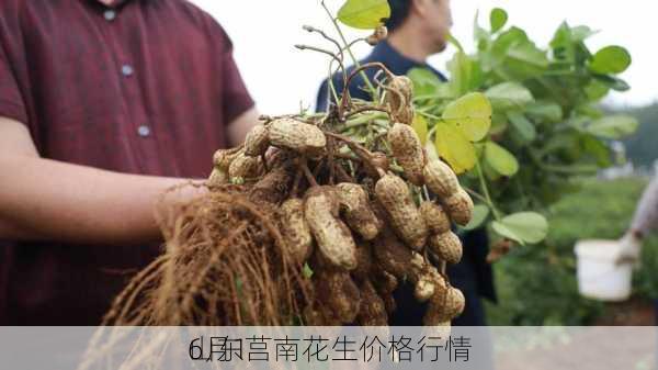 6月1
山东莒南花生价格行情