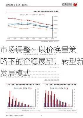 
市场调整：以价换量策略下的企稳展望，转型新发展模式