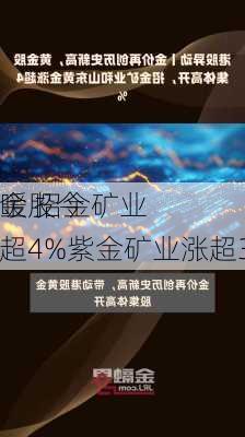 黄金股今
回暖 招金矿业涨超4%紫金矿业涨超3%