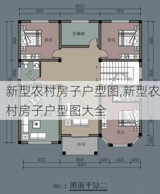 新型农村房子户型图,新型农村房子户型图大全