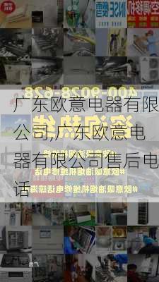 广东欧意电器有限公司,广东欧意电器有限公司售后电话