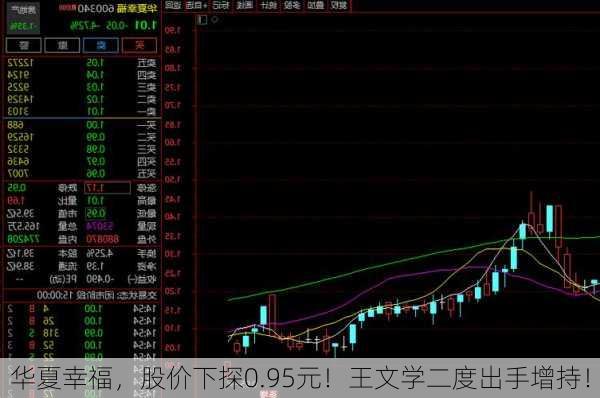 华夏幸福，股价下探0.95元！王文学二度出手增持！