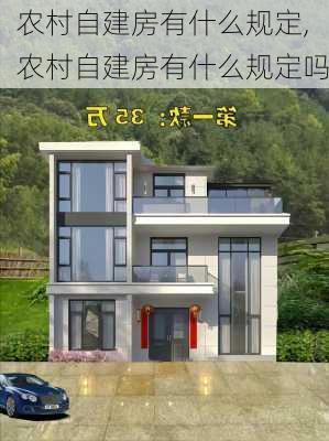 农村自建房有什么规定,农村自建房有什么规定吗