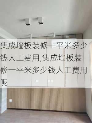 集成墙板装修一平米多少钱人工费用,集成墙板装修一平米多少钱人工费用呢