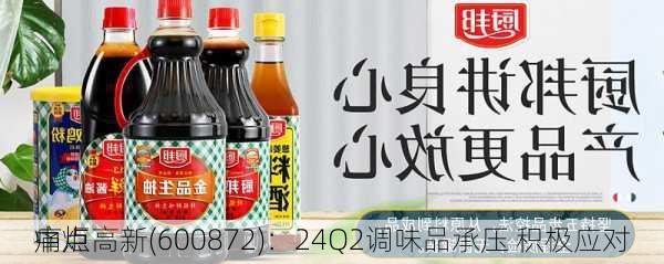 中炬高新(600872)：24Q2调味品承压 积极应对
痛点