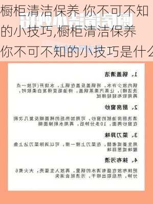 橱柜清洁保养 你不可不知的小技巧,橱柜清洁保养 你不可不知的小技巧是什么