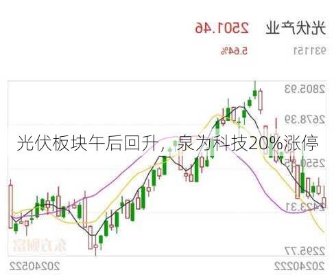 光伏板块午后回升，泉为科技20%涨停