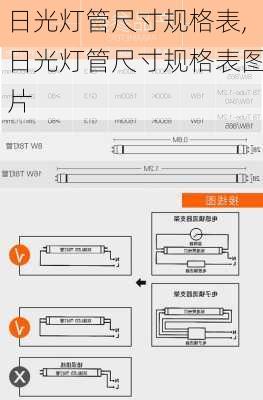 日光灯管尺寸规格表,日光灯管尺寸规格表图片