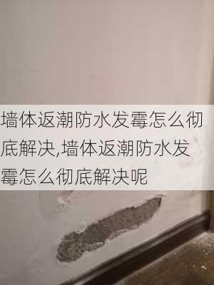 墙体返潮防水发霉怎么彻底解决,墙体返潮防水发霉怎么彻底解决呢