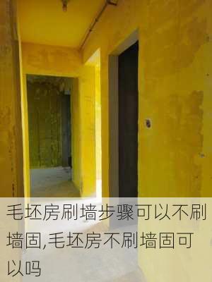 毛坯房刷墙步骤可以不刷墙固,毛坯房不刷墙固可以吗