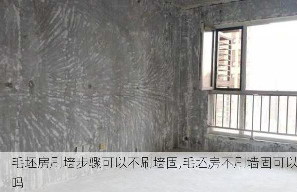 毛坯房刷墙步骤可以不刷墙固,毛坯房不刷墙固可以吗