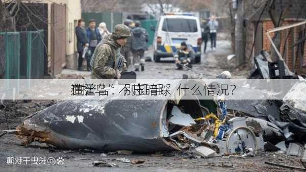 
“挺乌”不忘暗踩
！
在
遭警告：别插手，什么情况？